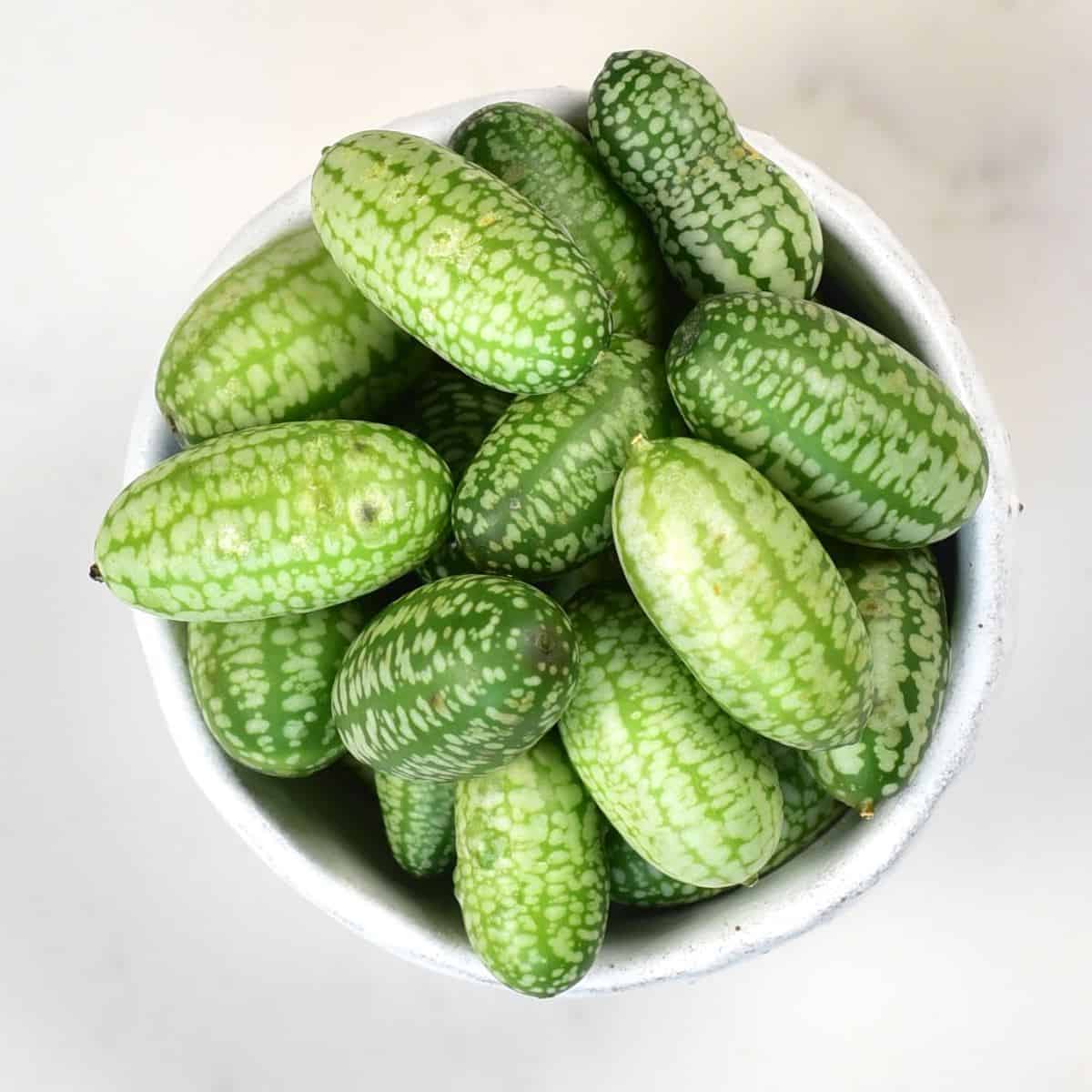 Unveiling the Cucamelon: Your Guide to the Mini Watermelon Imposter